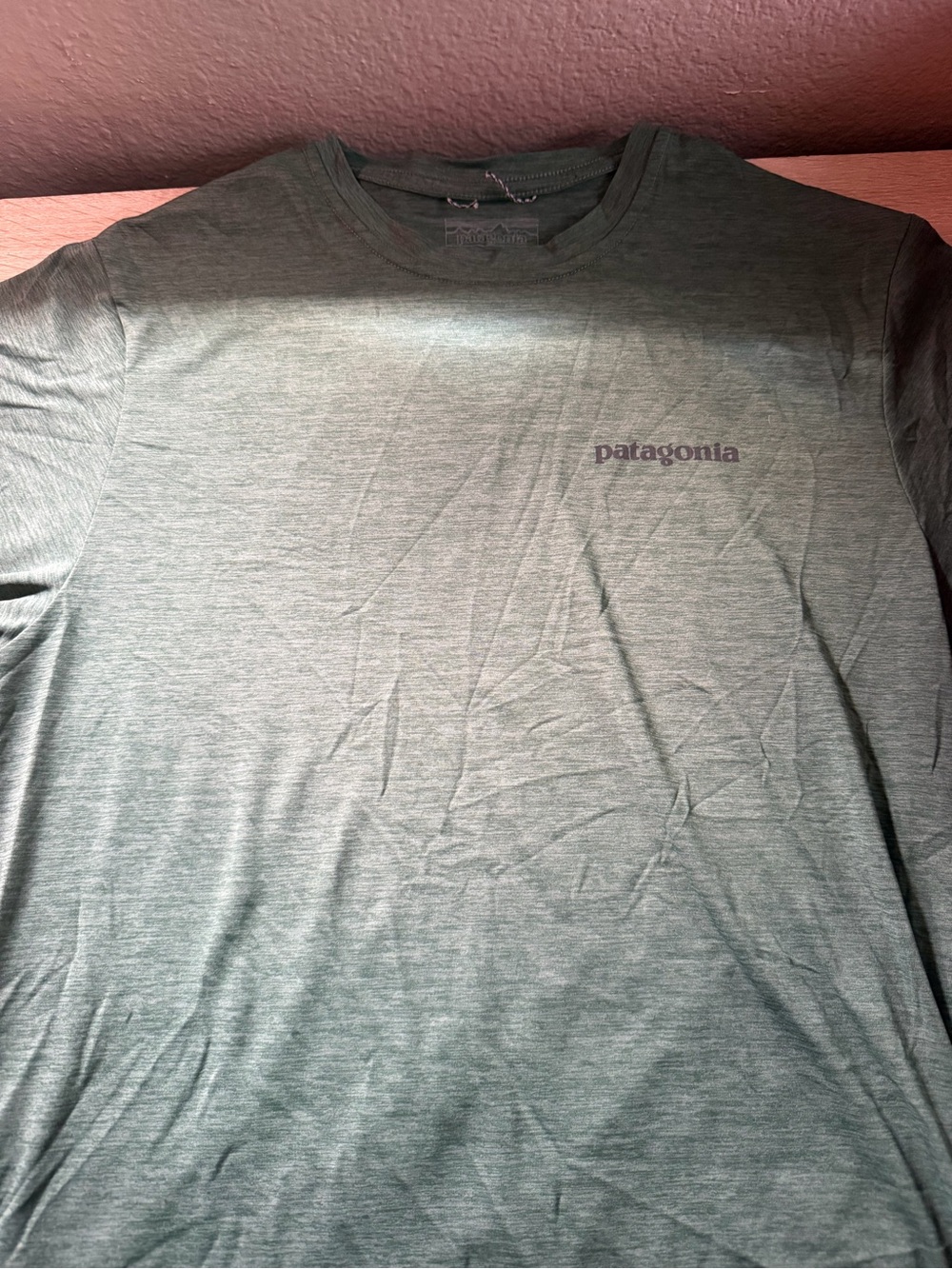 Patagonia Men's Sage Green Short Sleeve Logo Tee